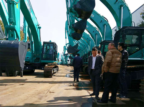 快来看，快来看，这里有一群绿精灵