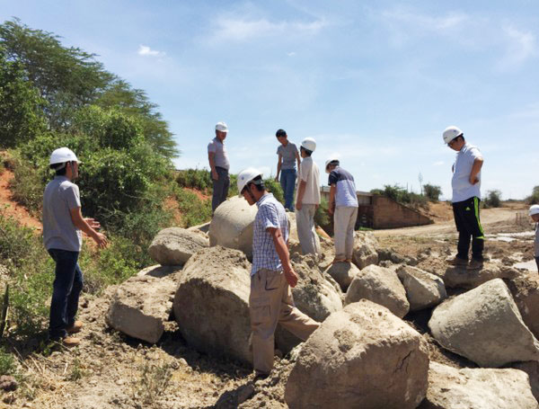 肯尼亚总统高度赞赏，乞力马扎罗山下J9集团绿闪灼