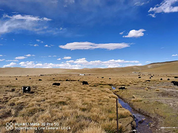 心系J9集团情，追梦阿里行！