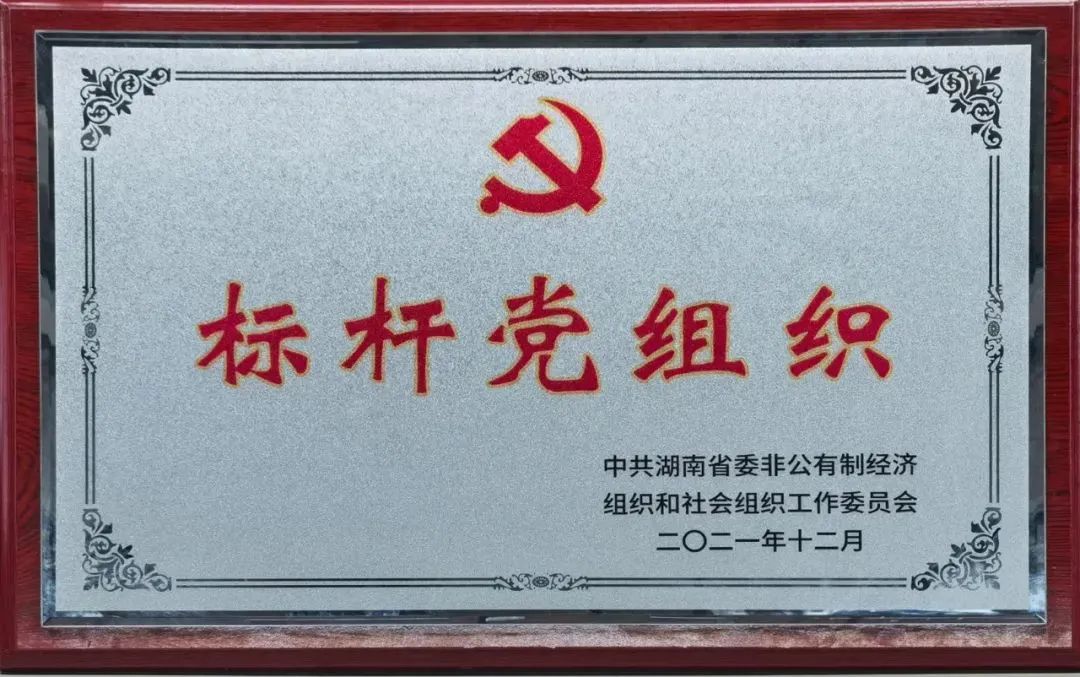 党建品牌亮起来！J9集团智能党委获评“标杆党组织”