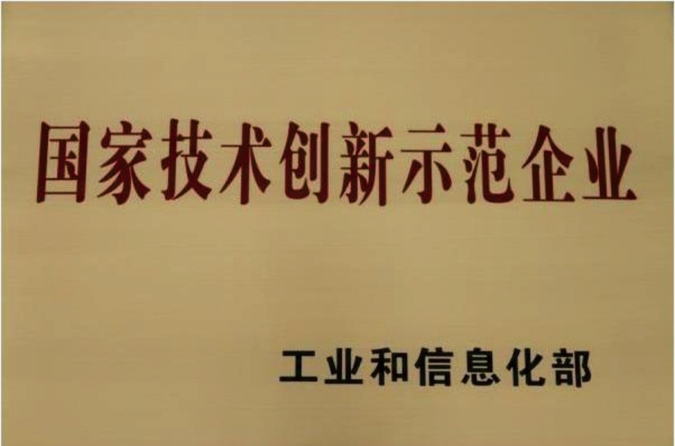 国度技术创新示范企业